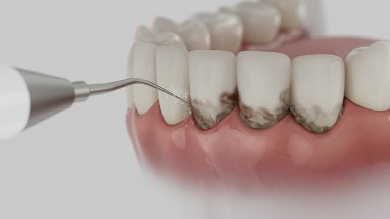 Reliable Dental contractor in Port Royal, SC by Dentist Open Now